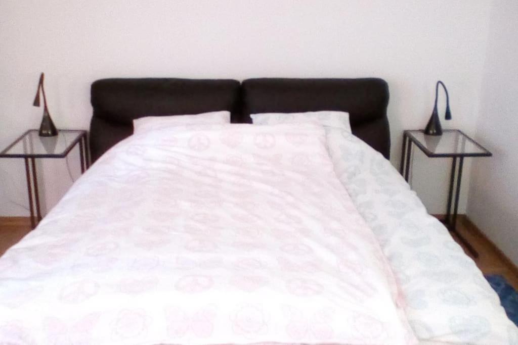 Zagreb Botanical Garden Budget Apartment Esterno foto